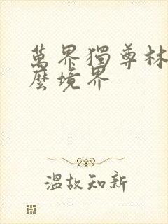 万界独尊林枫什么境界