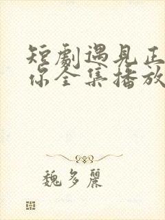 短剧遇见正确的你全集播放