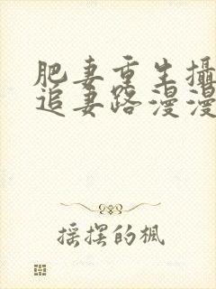 肥妻重生摄政王追妻路漫漫短剧免费播放