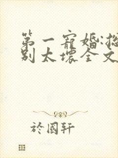 第一宠婚:总裁别太坏全文阅读