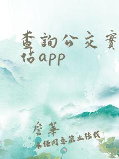 查询公交实时到站app