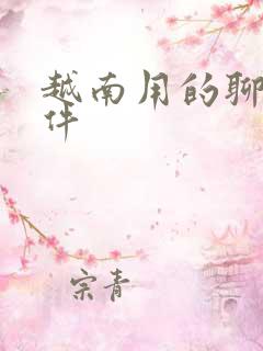 越南用的聊天软件