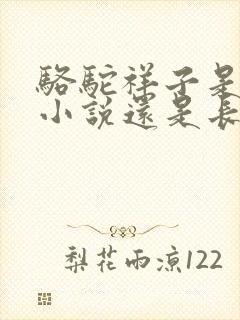 骆驼祥子是短篇小说还是长篇小说