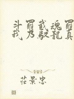 斗罗武魂罗三炮我乃驭龙真君