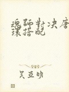 魂师对决唐晨魂环搭配