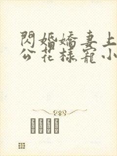 闪婚娇妻上司老公花样宠小说,免费阅读