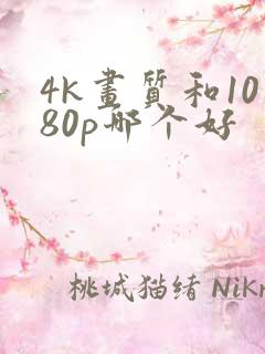 4k画质和1080p哪个好