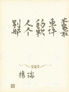 别人的车查违章哪个软件最准确最快