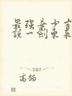 最强弃少有声小说一剑东来