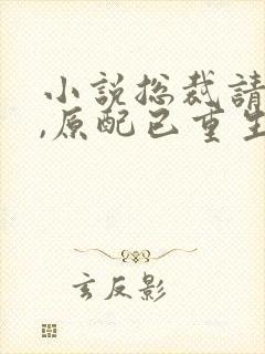 小说总裁请勿扰,原配已重生