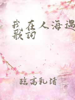 我在人海遇见你歌词
