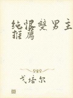 纯恨双男主小说推荐