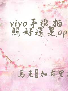 vivo手机拍照好还是oppo手机拍照好