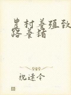 农村养殖致富门路养猪