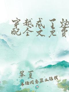 穿越成了炮灰女配全文免费阅读