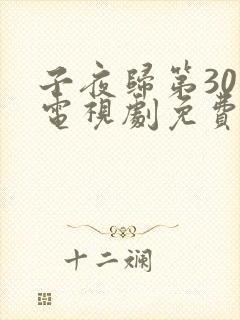 子夜归第30集电视剧免费观看全集高清