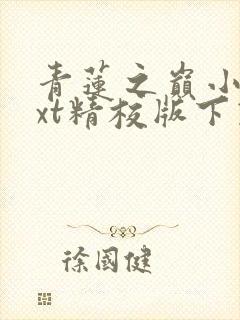 青莲之巅小说txt精校版下载