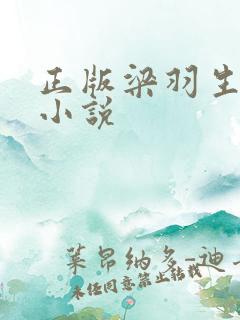 正版梁羽生武侠小说