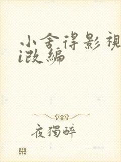 小舍得影视剧hi改编