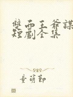 双面王爷谋天下短剧全集