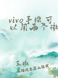vivo手机可以用两个微信吗