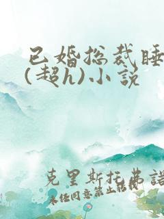 已婚总裁睡秘书(超h)小说