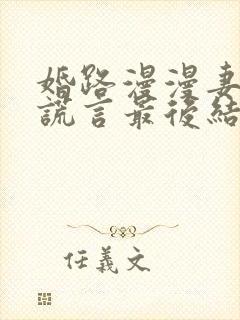婚路漫漫妻子的谎言最后结局