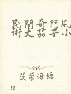 民间奇门风水秘术大茄子小说最新