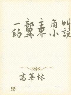 一部主角叫林凡的异界小说