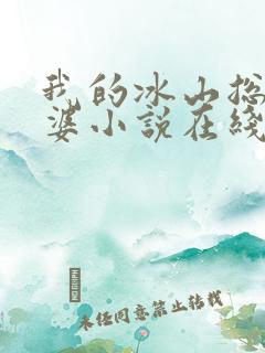 我的冰山总裁老婆小说在线