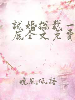 试婚总裁一宠到底全文免费阅读