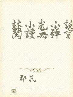 林小岚小说免费阅读无弹窗