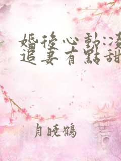 婚后心动:凌总追妻有点甜全文免费阅读陈媛