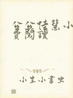 公公佳慧小说免费阅读