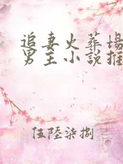 追妻火葬场的双男主小说推荐