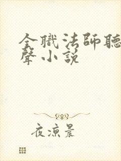 全职法师听书有声小说