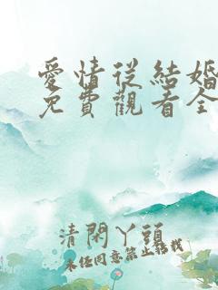 爱情从结婚开始免费观看全集在线观看