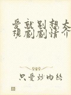 爱就别想太多电视剧剧情介绍