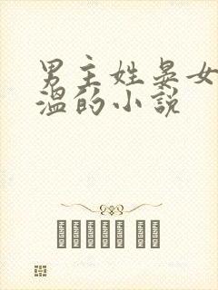 男主姓晏女主姓温的小说
