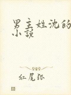男主姓沈的言情小说