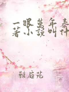 一眼万年泰剧原著小说叫什么名字