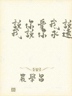 说你爱我说你要我说你永远不离开我