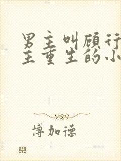 男主叫顾行渊女主重生的小说