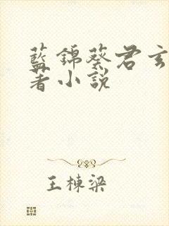 蓝锦葵君玄渊原著小说