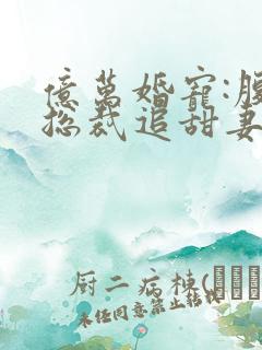 亿万婚宠:腹黑总裁追甜妻