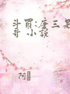 斗罗:唐三是我哥 小说