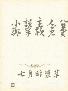 小说主人公林峰与宁欣免费阅读