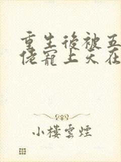 重生后被五个大佬宠上天在线小说