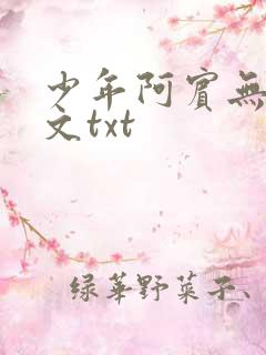 少年阿宾无删全文txt