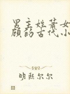 男主姓萧女主姓顾的古代小说